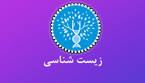 آموزش از راه دور ایران