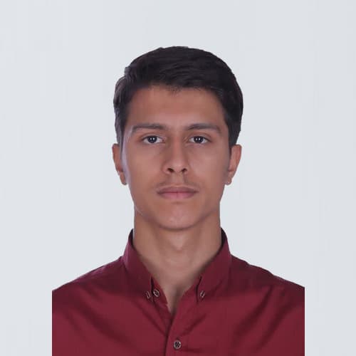 محمد مهدی حقی